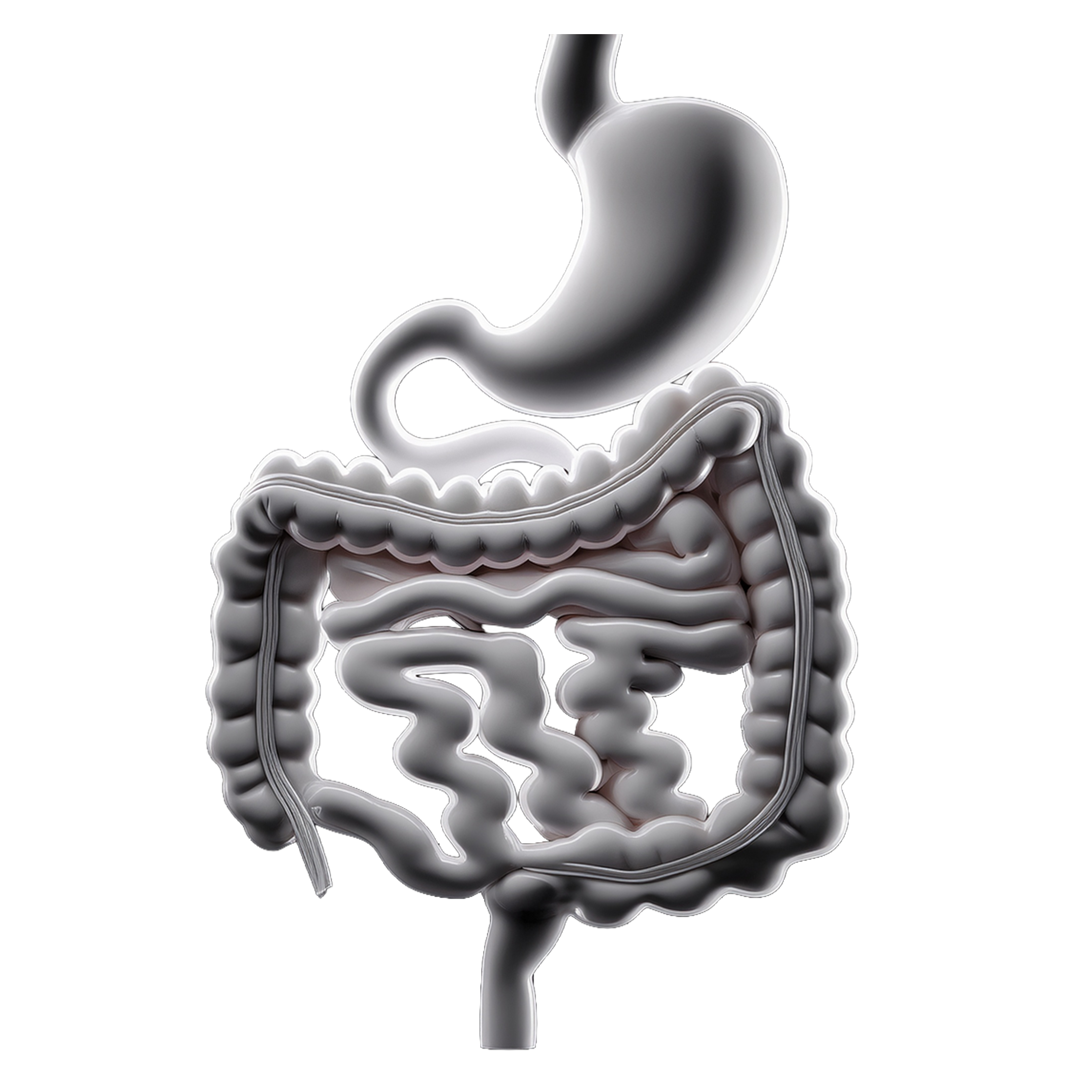 Upper GI Tract